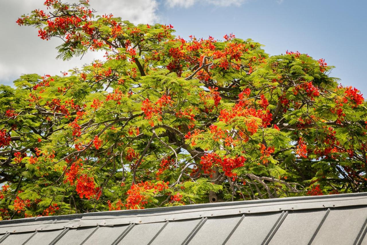 Courtney'S Place Historic Cottages & Inns Key West Eksteriør bilde